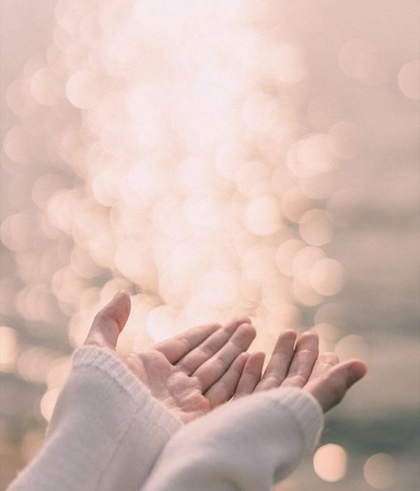 28e68523aeeb5a3530d2a9908ef52b54